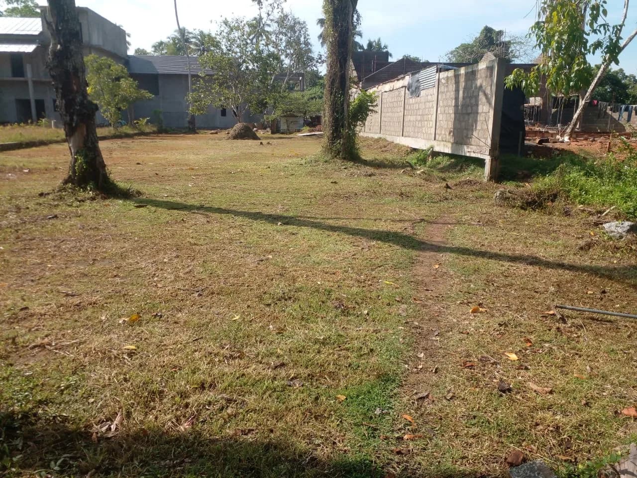 Waterfront 43-Perch Land, Bentota - Photo 5