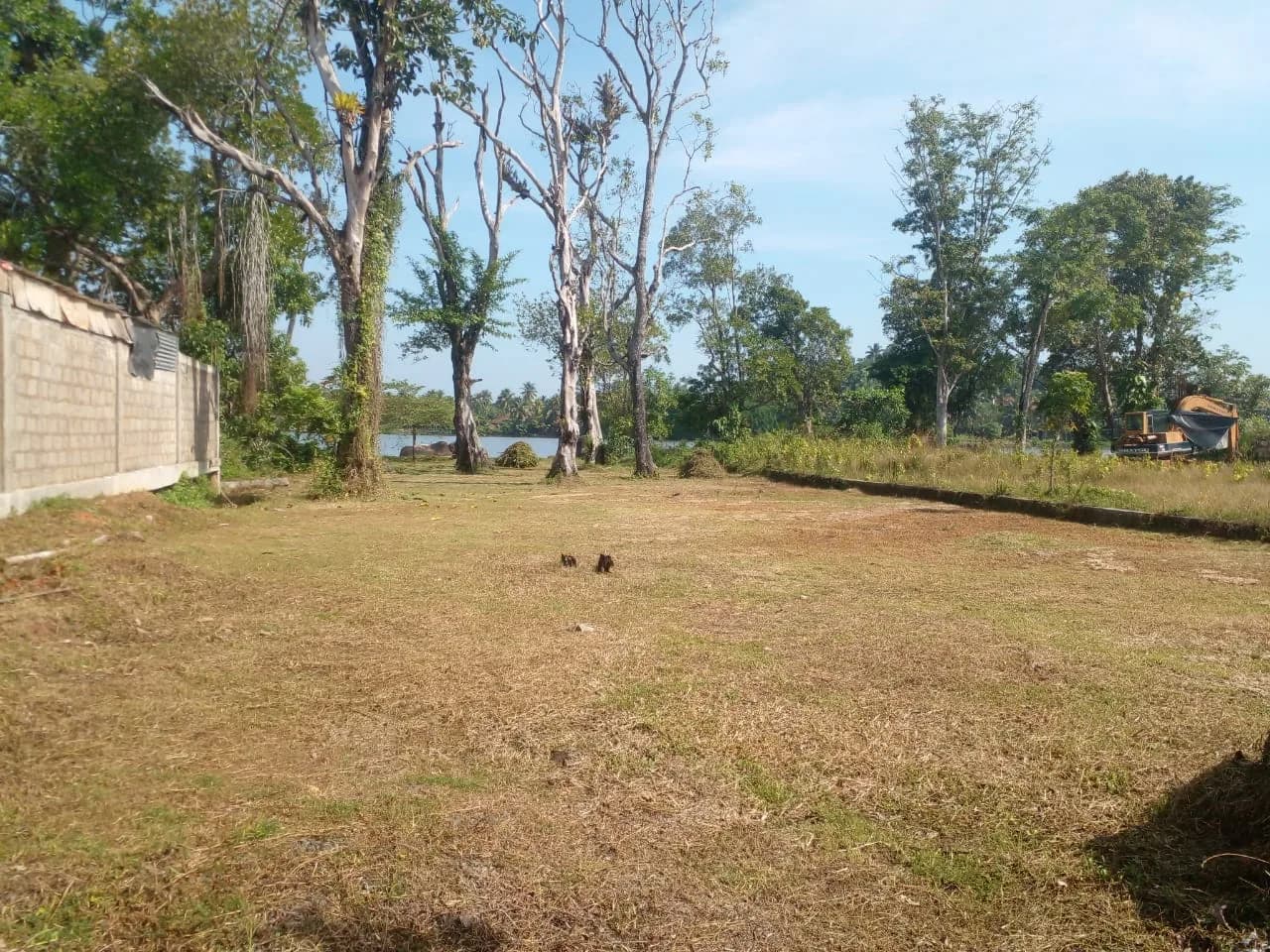 Waterfront 43-Perch Land, Bentota - Photo 6