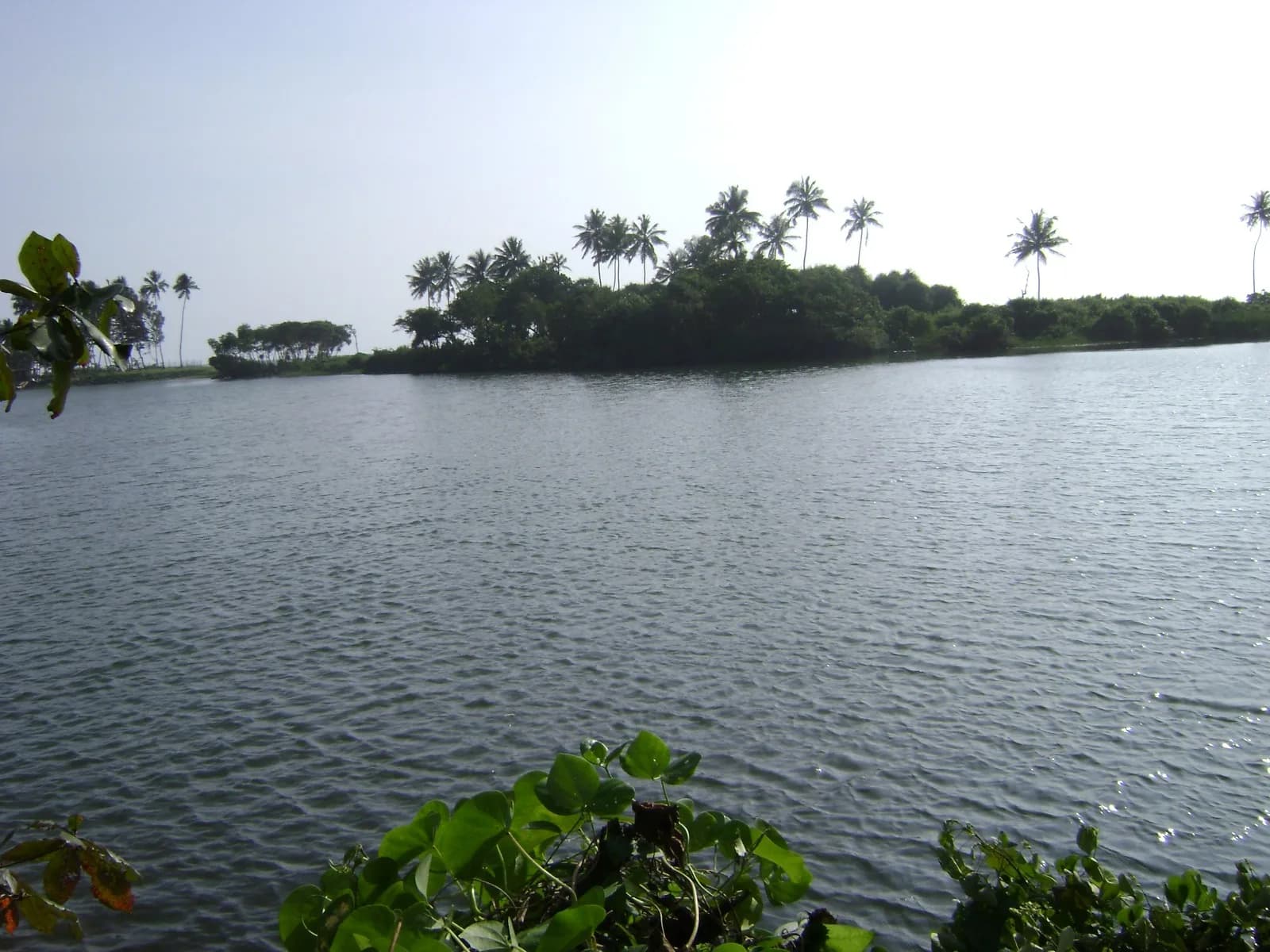 Waterfront 67-Perch Land, Kosgoda - Photo 5