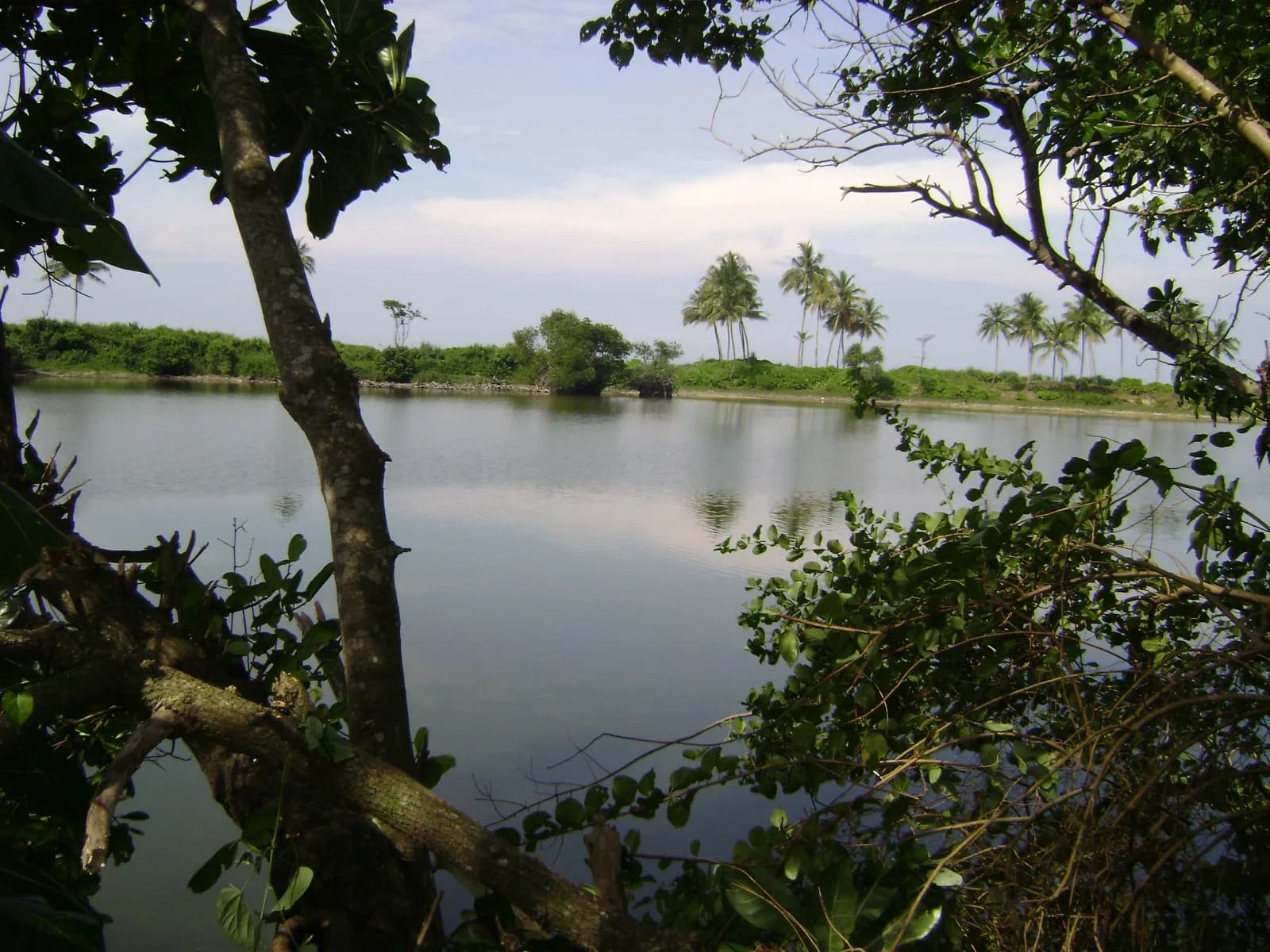 Waterfront 67-Perch Land, Kosgoda - Photo 7