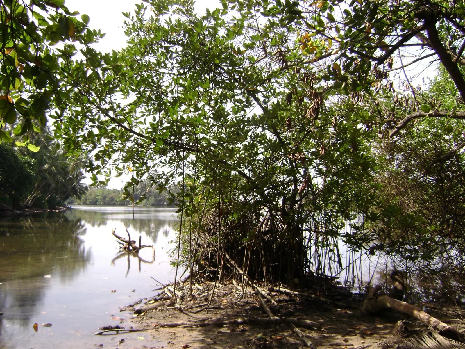 Waterfront 67-Perch Land, Kosgoda - Photo 17