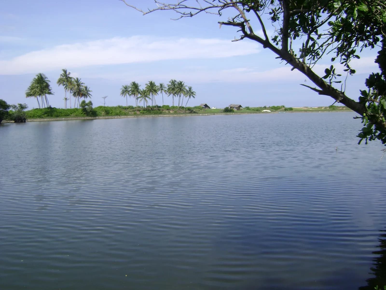 Waterfront 67-Perch Land, Kosgoda - Photo 15