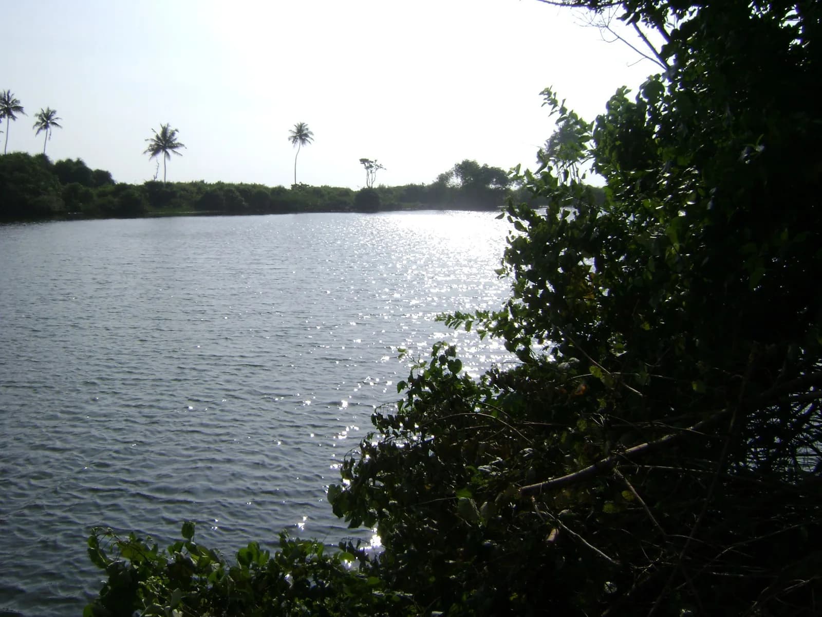Waterfront 67-Perch Land, Kosgoda - Photo 6