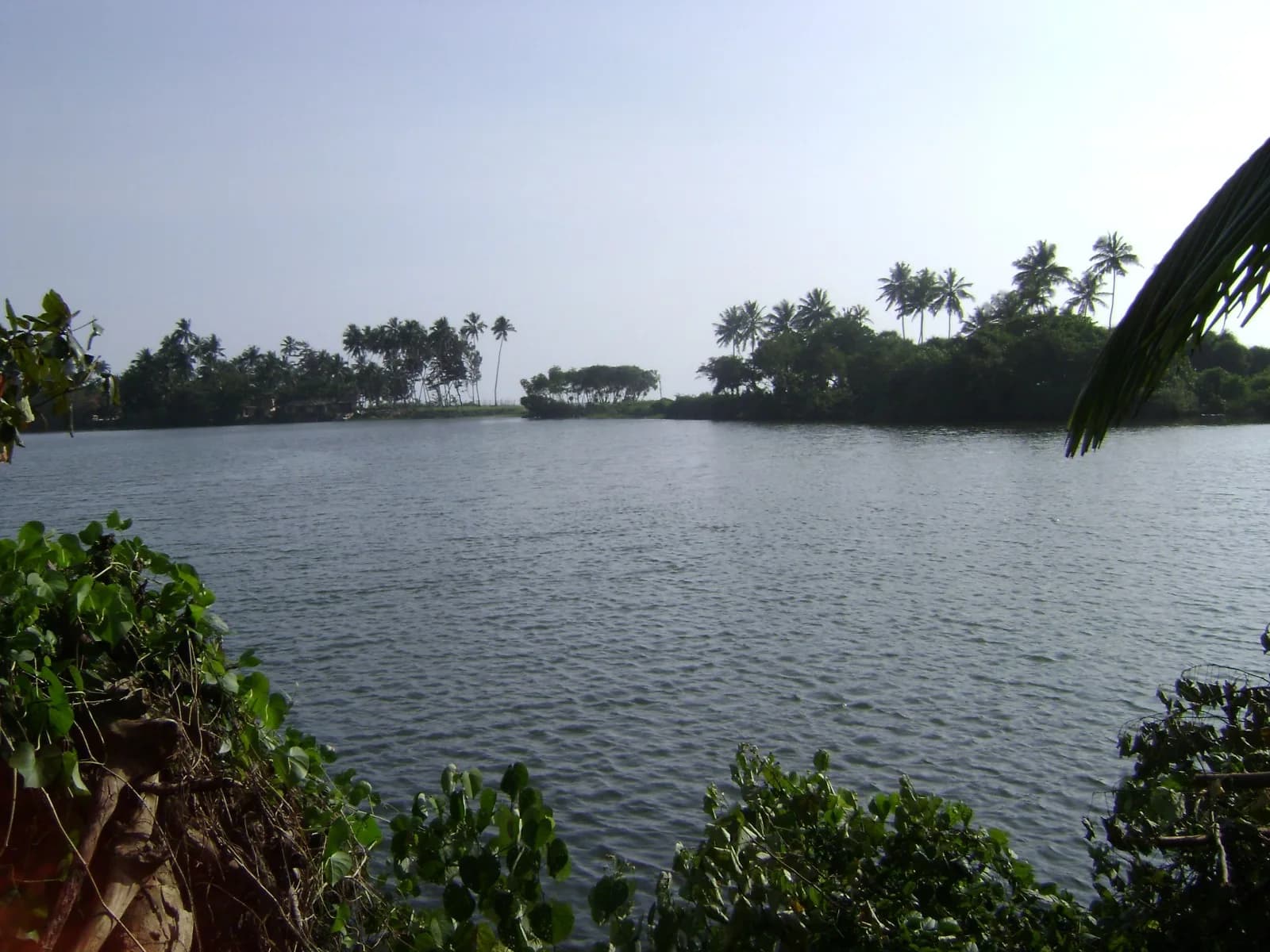 Waterfront 67-Perch Land, Kosgoda - Photo 3