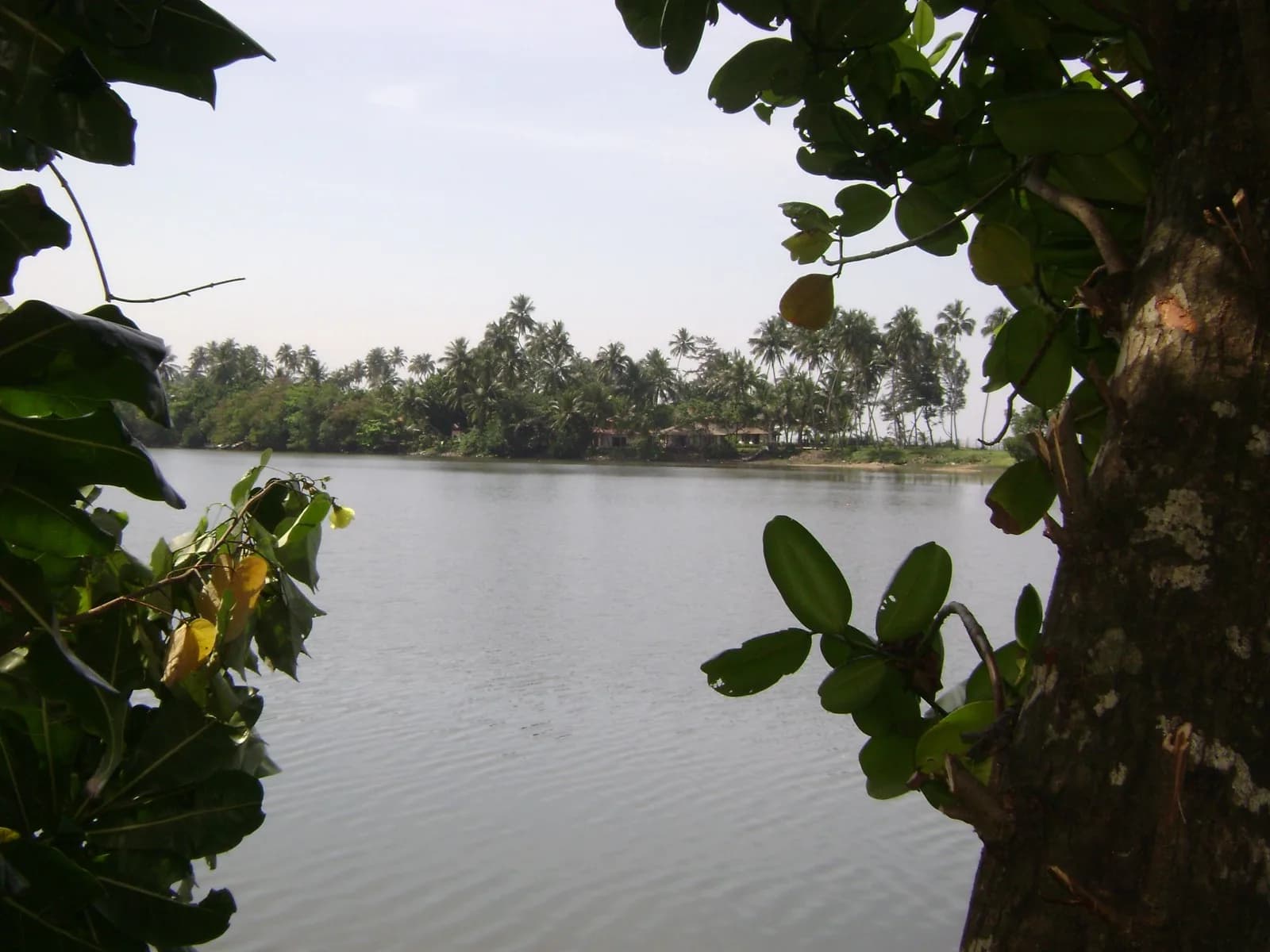 Waterfront 67-Perch Land, Kosgoda - Photo 16