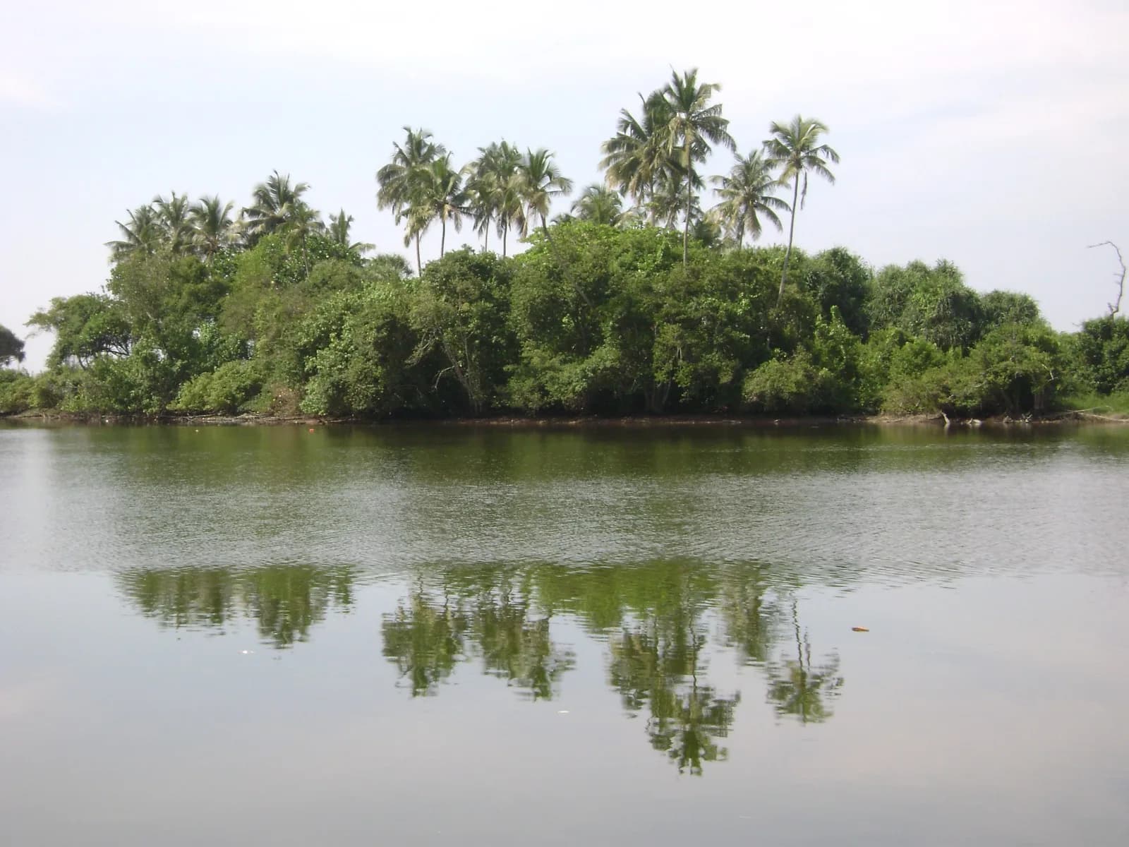 Waterfront 67-Perch Land, Kosgoda - Photo 4