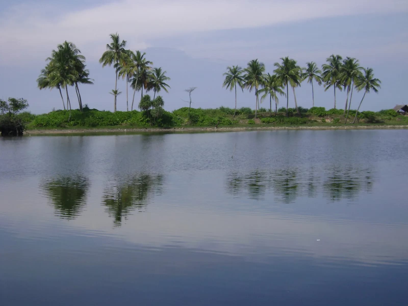 Waterfront 67-Perch Land, Kosgoda - Photo 10