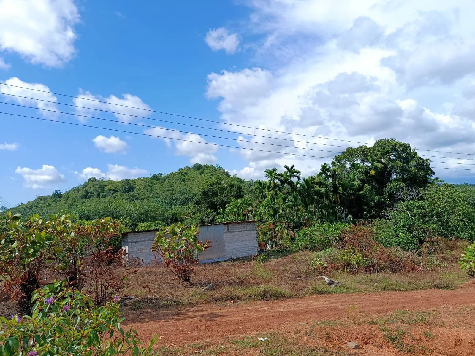 Prime 54-Perch Land, Yatadola - Photo 2