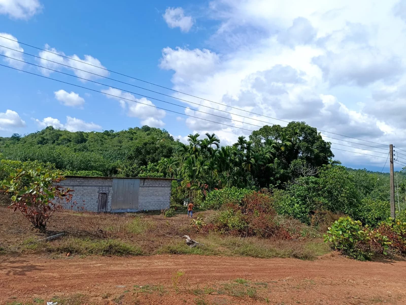 Prime 54-Perch Land, Yatadola - Photo 3