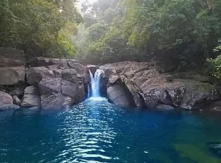 Scenic 29-Perch Land, Polgampola - Photo 2