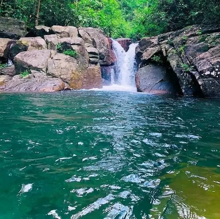 Scenic 29-Perch Land, Polgampola - Photo 12