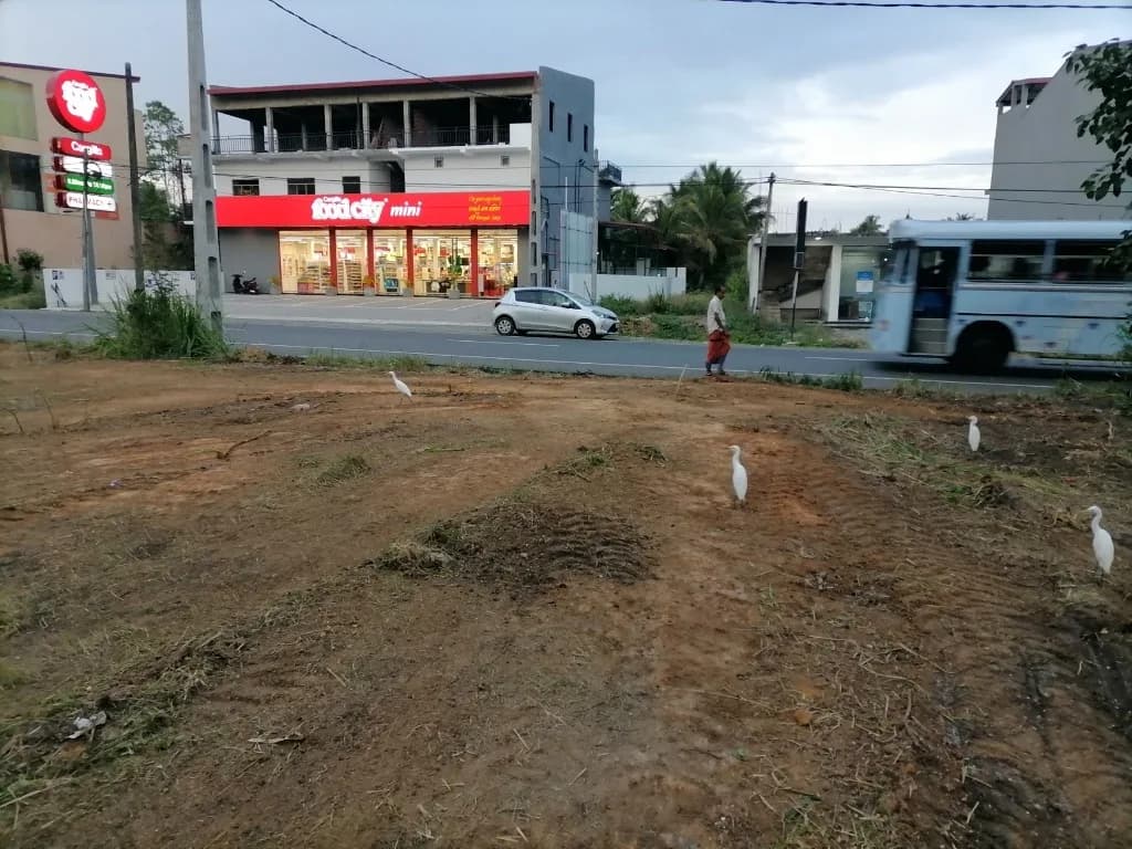 Prime 55-Perch Land, Hungama - Photo 1