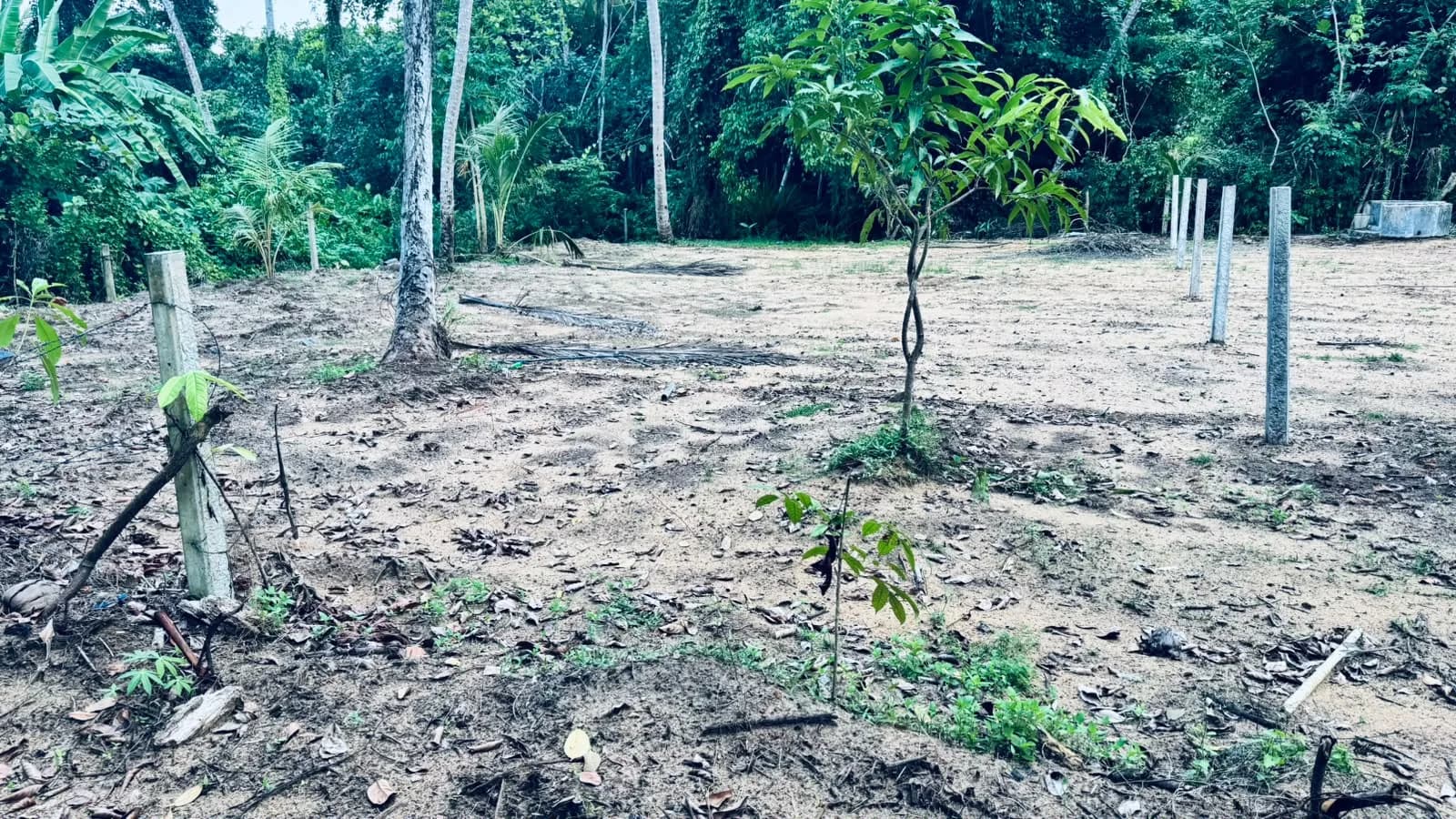 Prime 15-Perch Land, Bentota - Photo 3