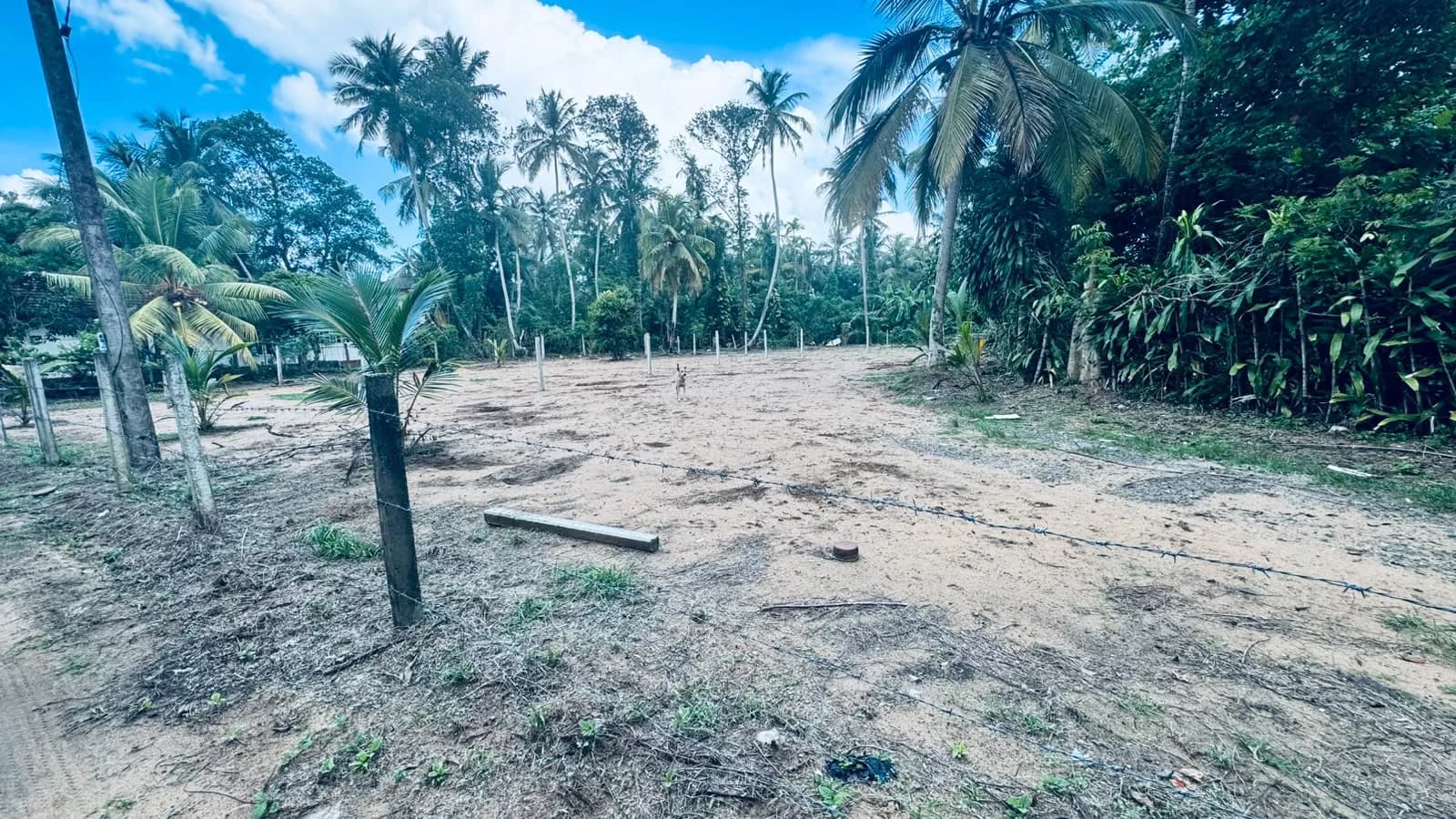 Prime 15-Perch Land, Bentota - Photo 8