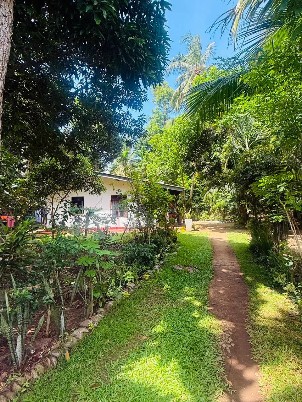 Kosgoda Land with House - Photo 1