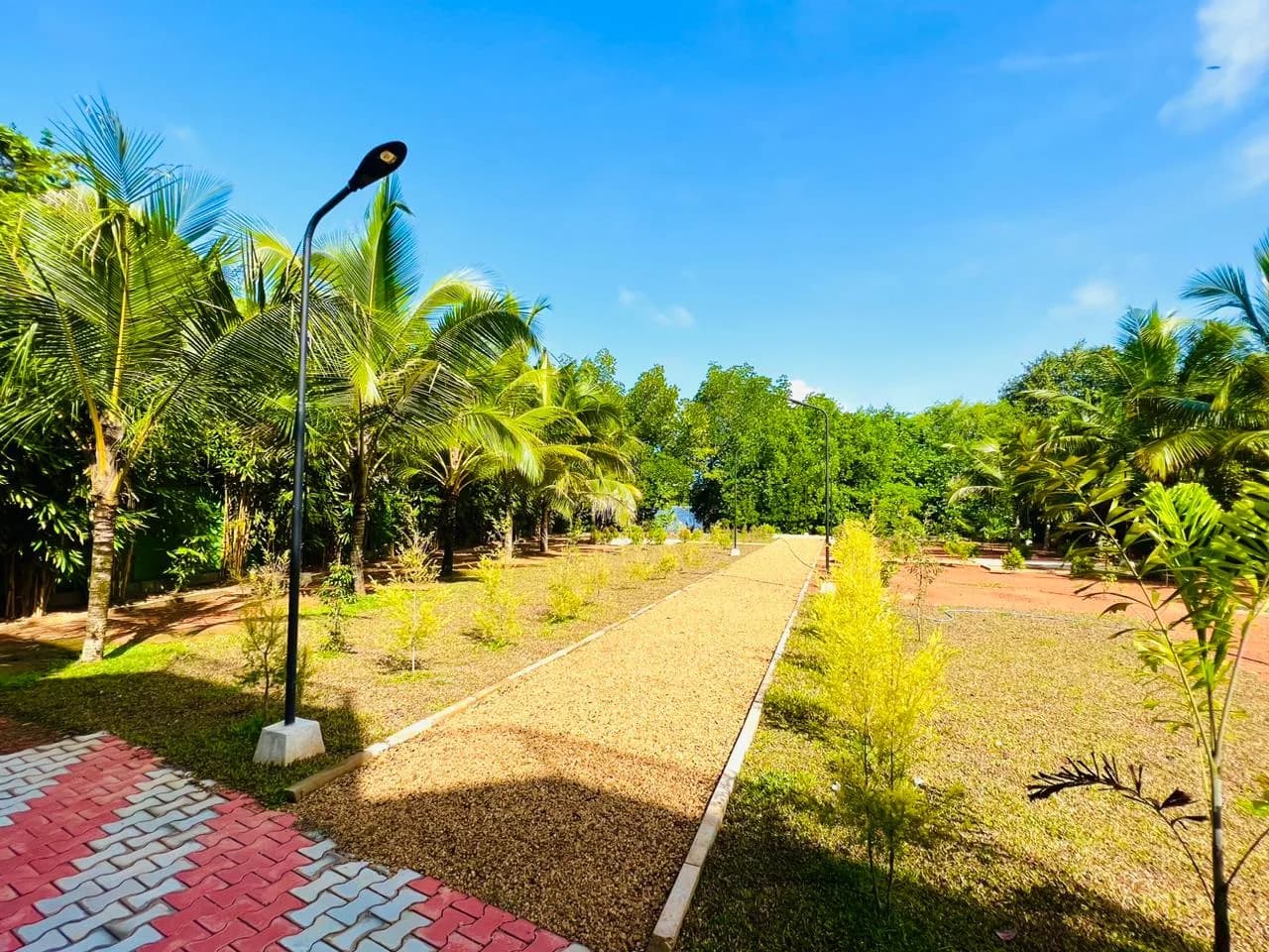 Luxury 19-Bed River Edge Hotel, Bentota - Photo 65