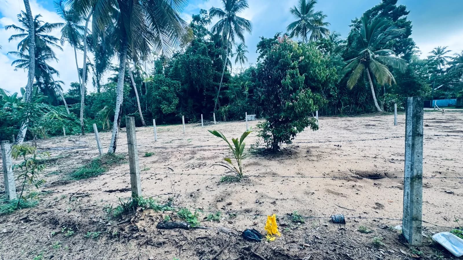 Prime 15-Perch Land, Bentota - Photo 10