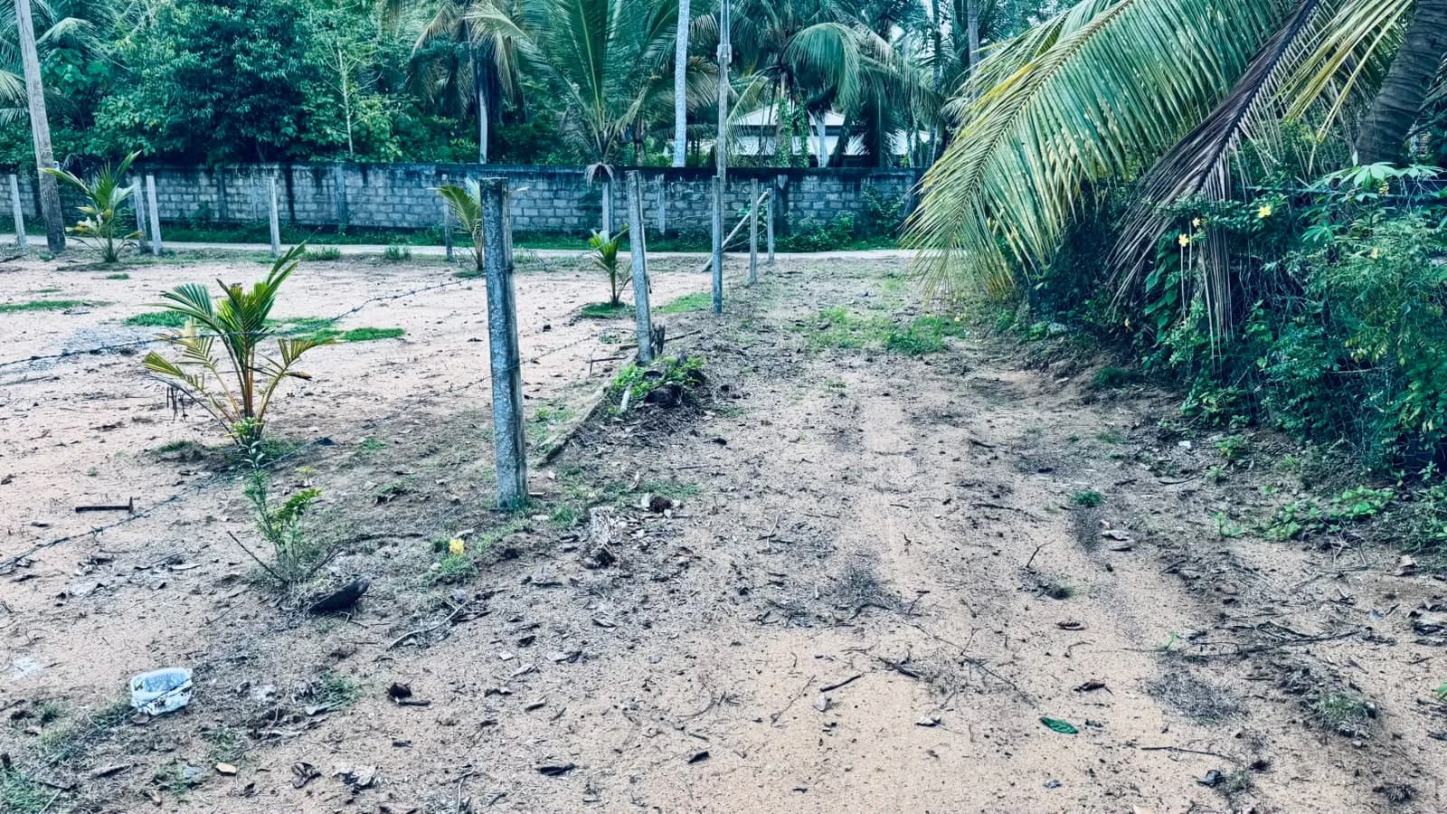 Prime 15-Perch Land, Bentota - Photo 5