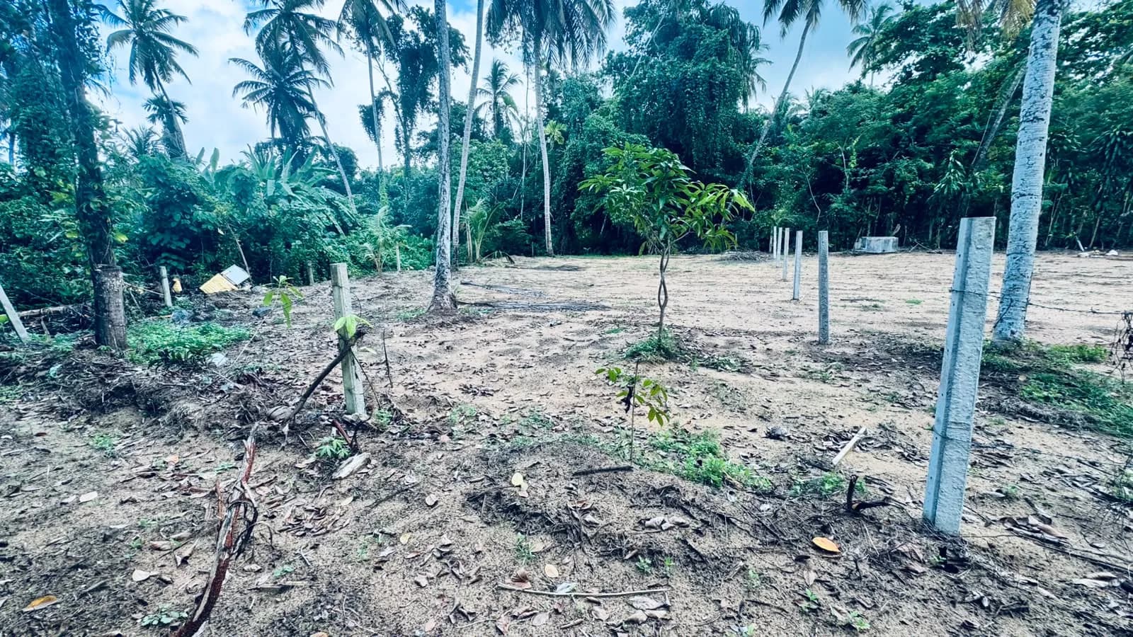 Prime 15-Perch Land, Bentota - Photo 6