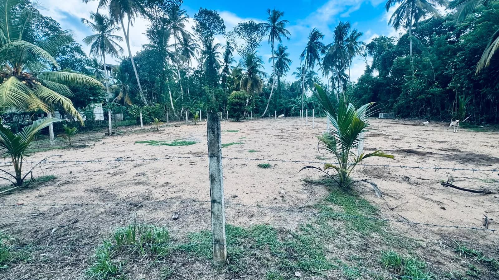 Prime 15-Perch Land, Bentota - Photo 9