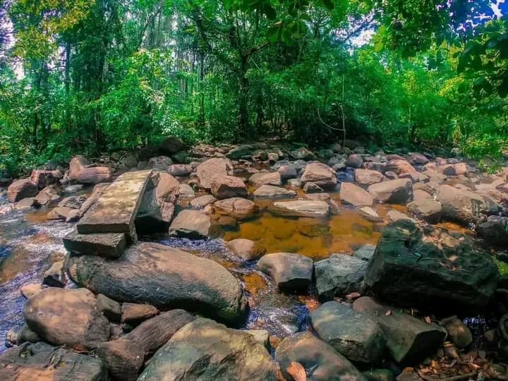 Scenic 29-Perch Land, Polgampola - Photo 3