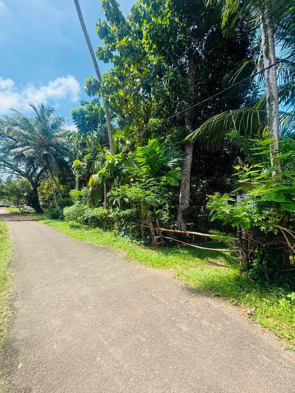 Kosgoda Land with House - Photo 6