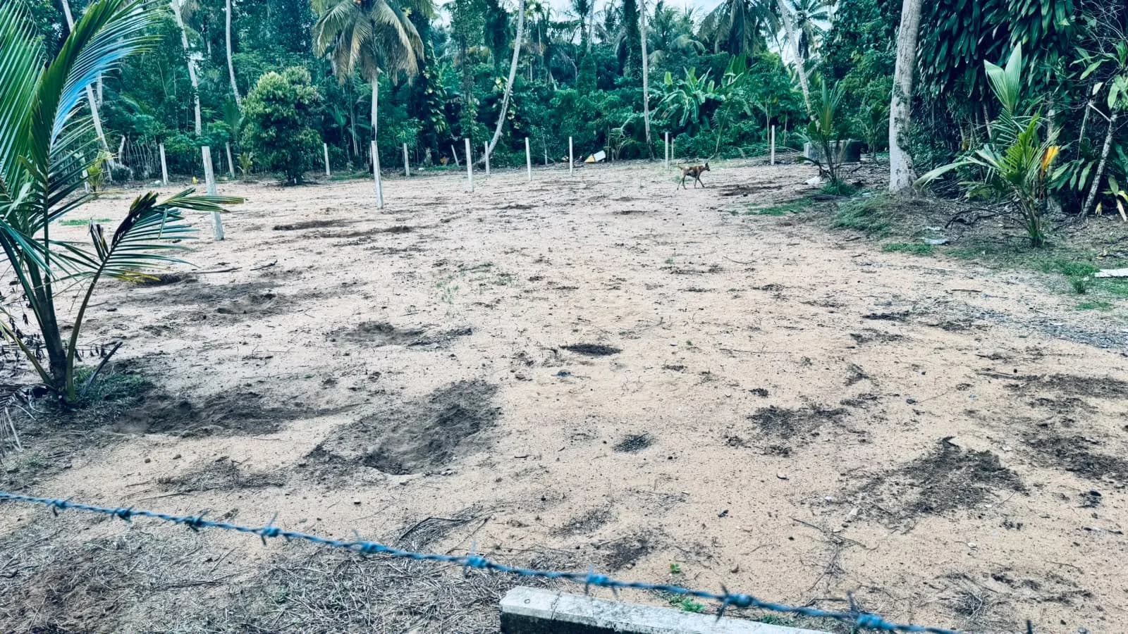 Prime 15-Perch Land, Bentota - Photo 14