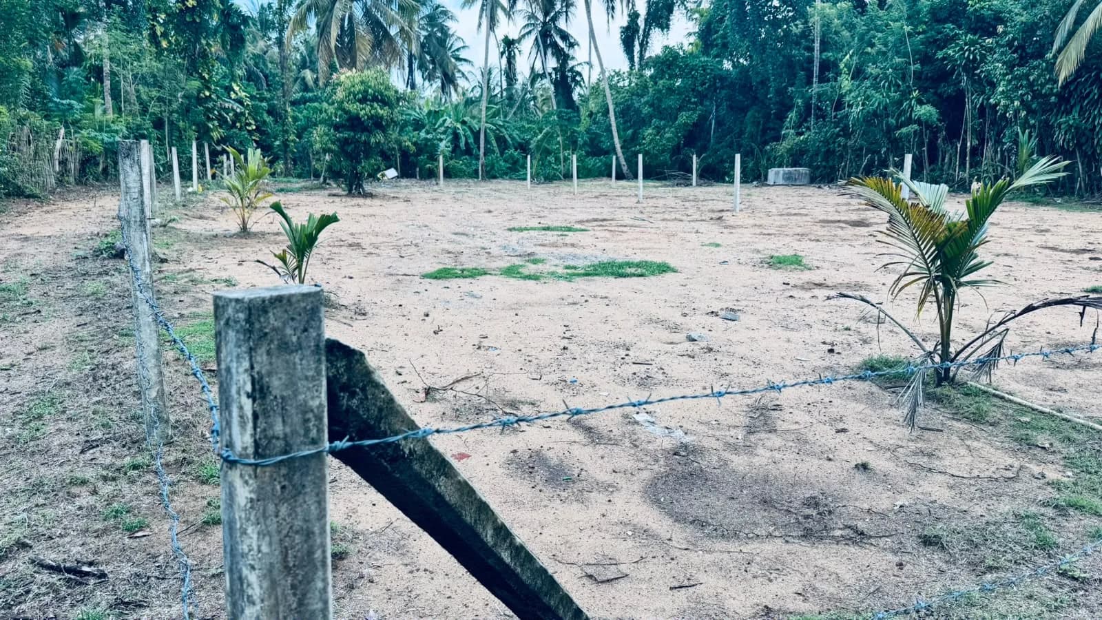 Prime 15-Perch Land, Bentota - Photo 12
