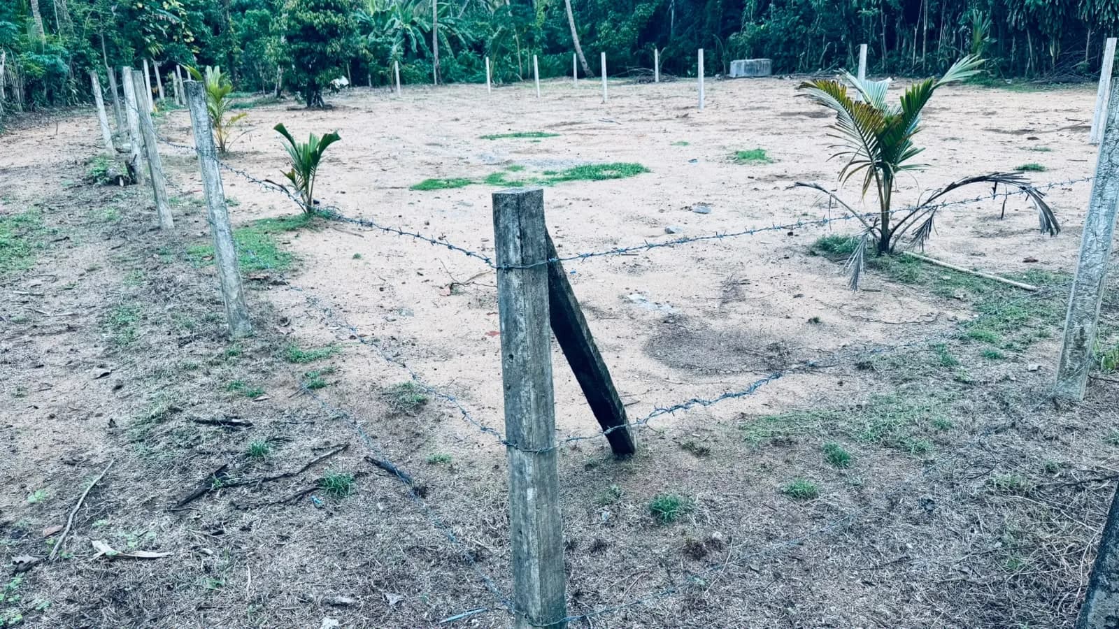 Prime 15-Perch Land, Bentota - Photo 16