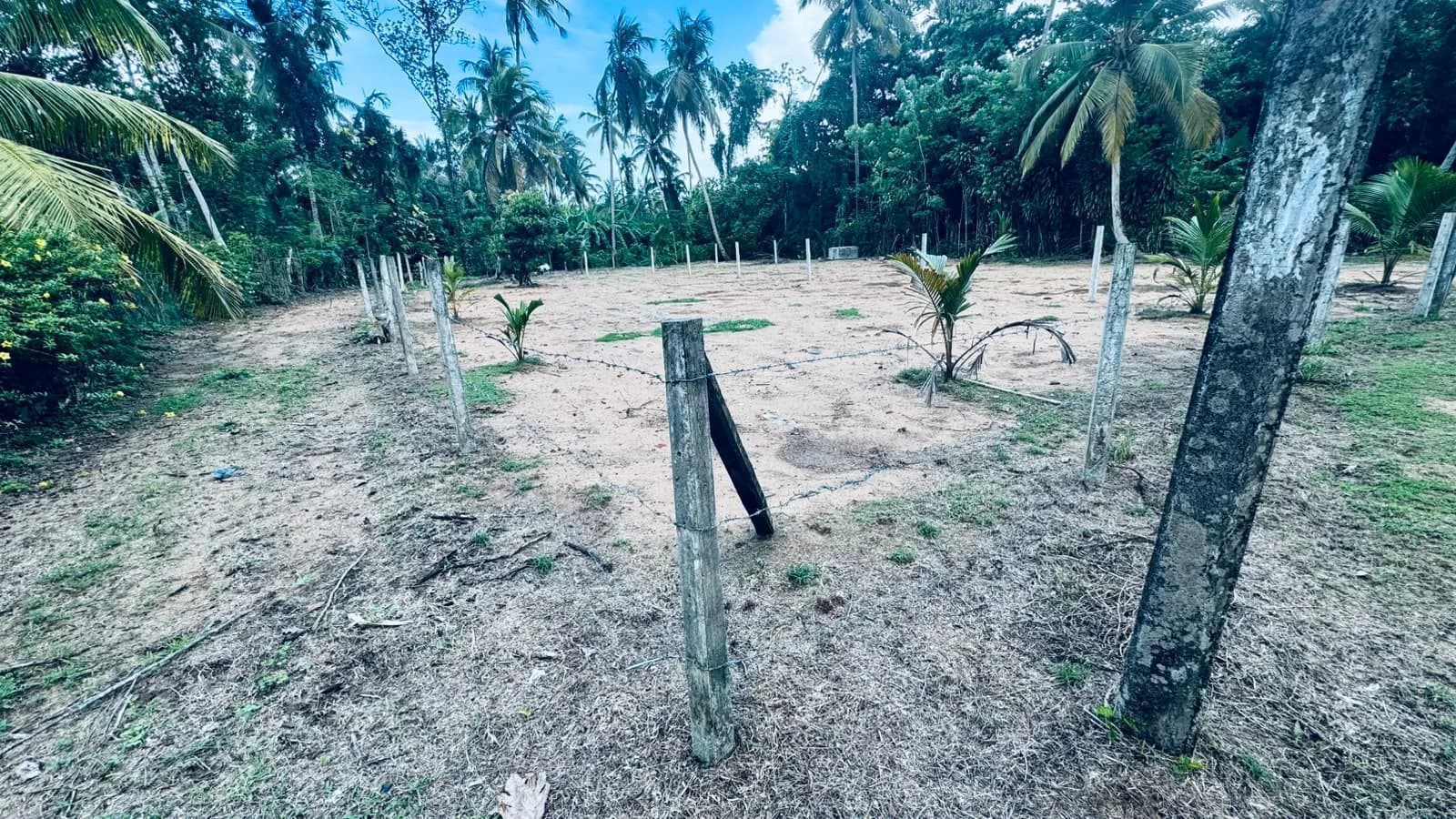 Prime 15-Perch Land, Bentota - Photo 17