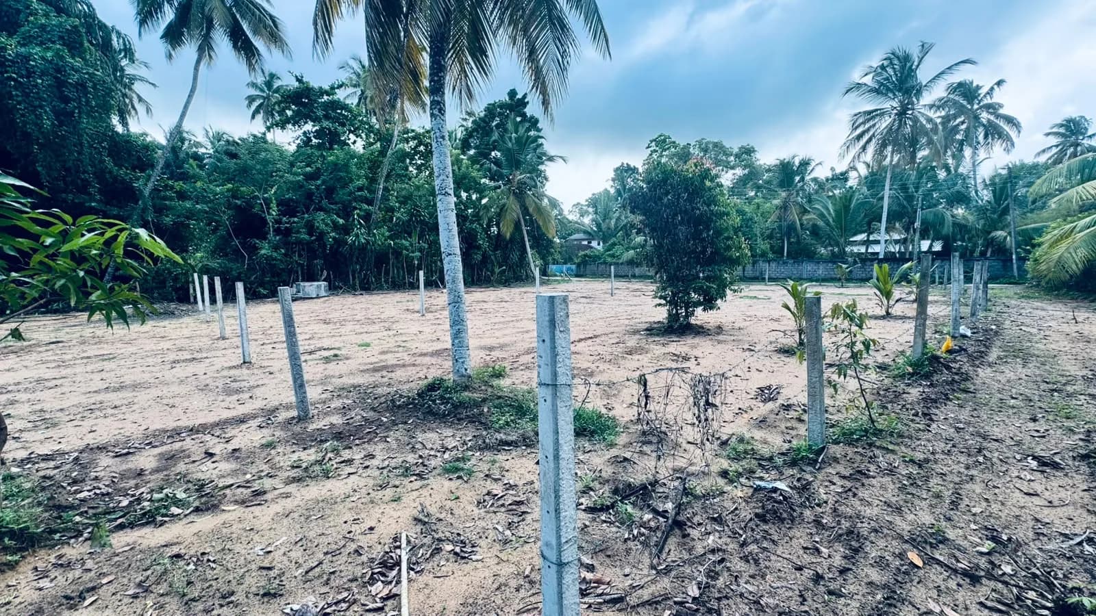 Prime 15-Perch Land, Bentota - Photo 19