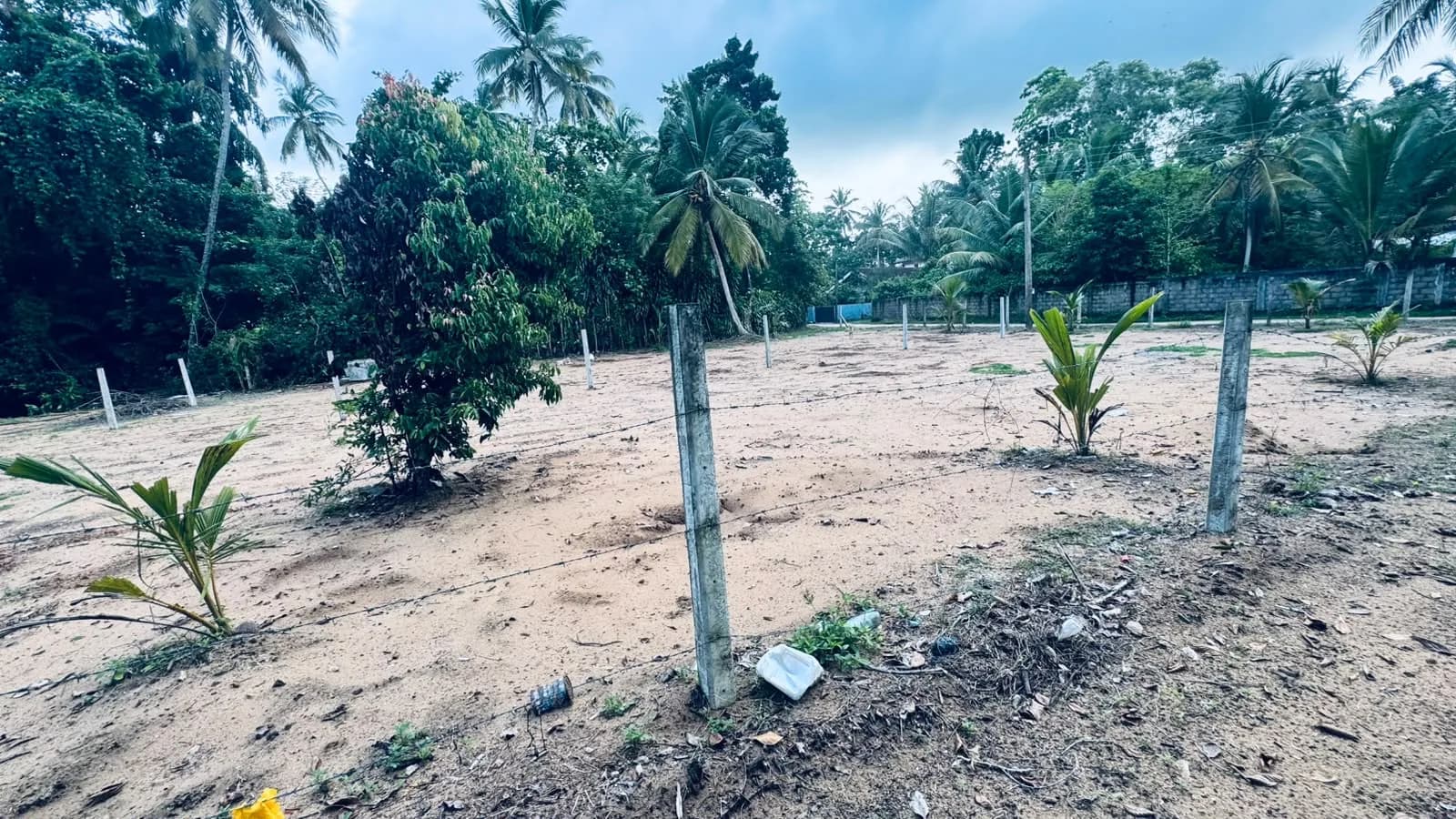 Prime 15-Perch Land, Bentota - Photo 4