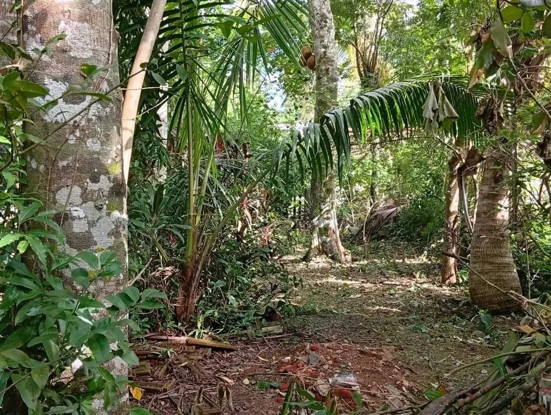 Balapitiya Commercial Land - Photo 8