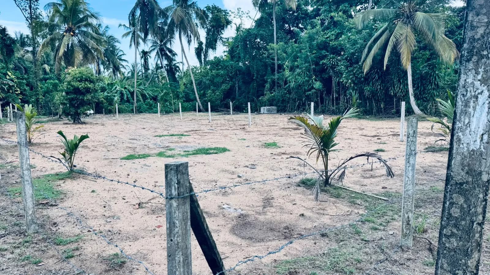 Prime 15-Perch Land, Bentota - Photo 13