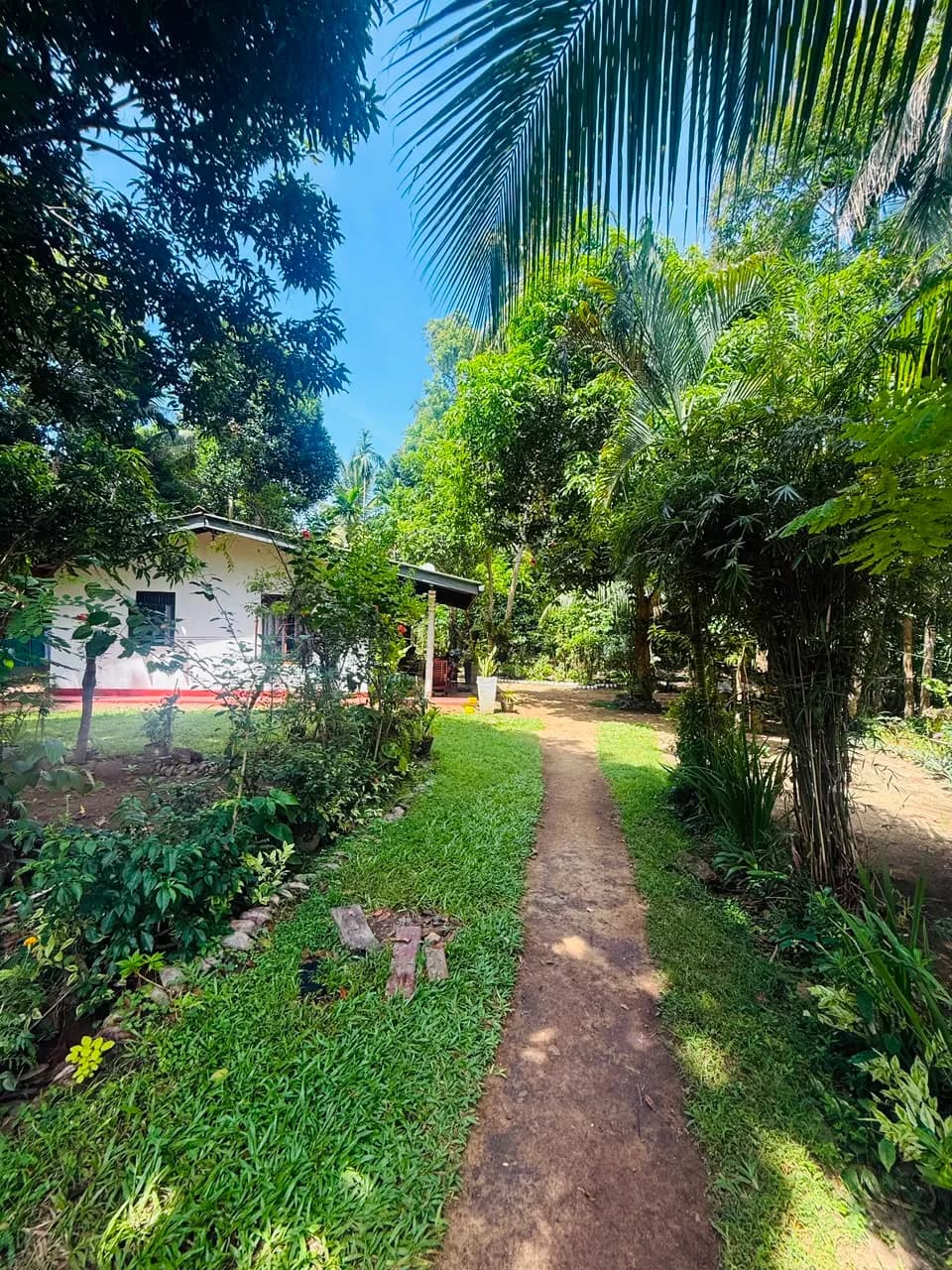 Kosgoda Land with House - Photo 8