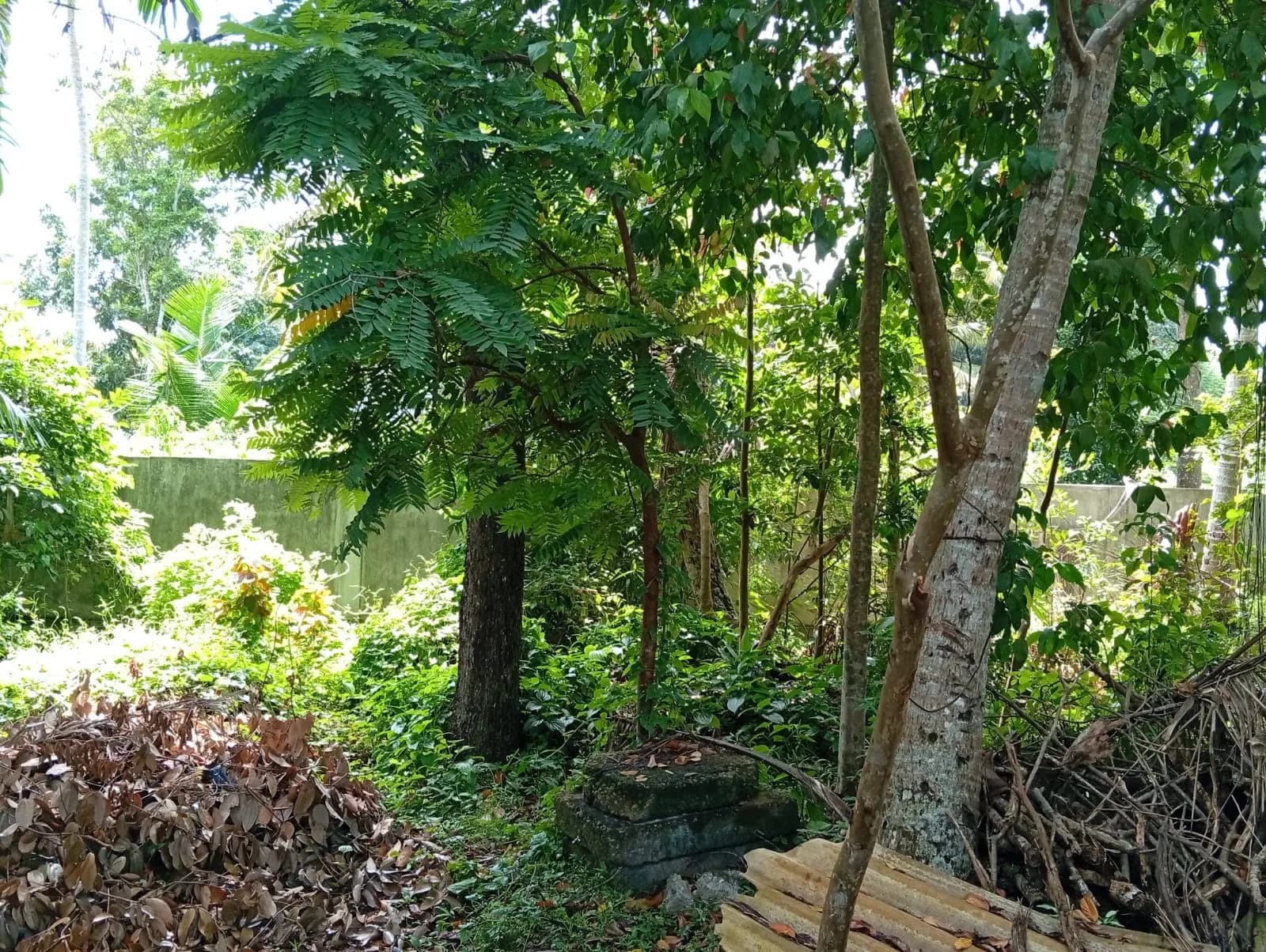 Balapitiya Commercial Land - Photo 3