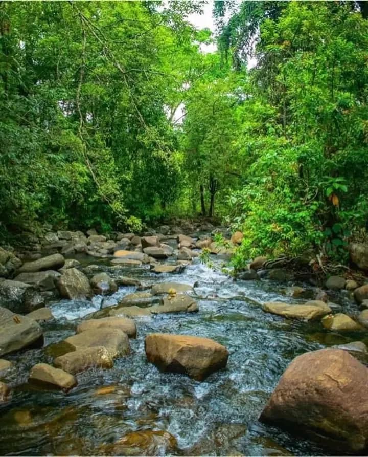 Scenic 29-Perch Land, Polgampola - Photo 7