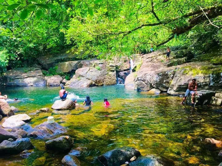 Scenic 29-Perch Land, Polgampola - Photo 6