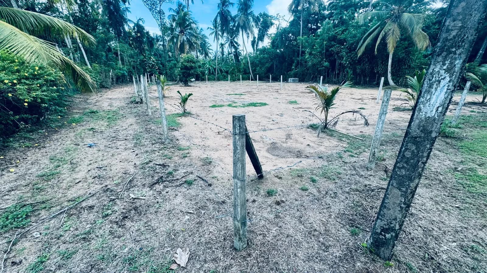 Prime 15-Perch Land, Bentota - Photo 15