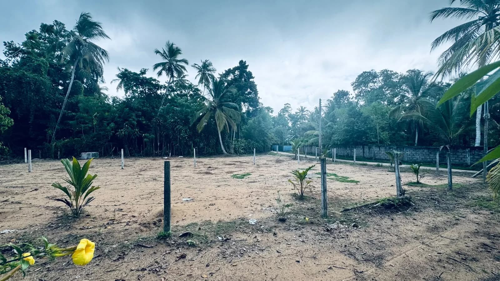 Prime 15-Perch Land, Bentota - Photo 20