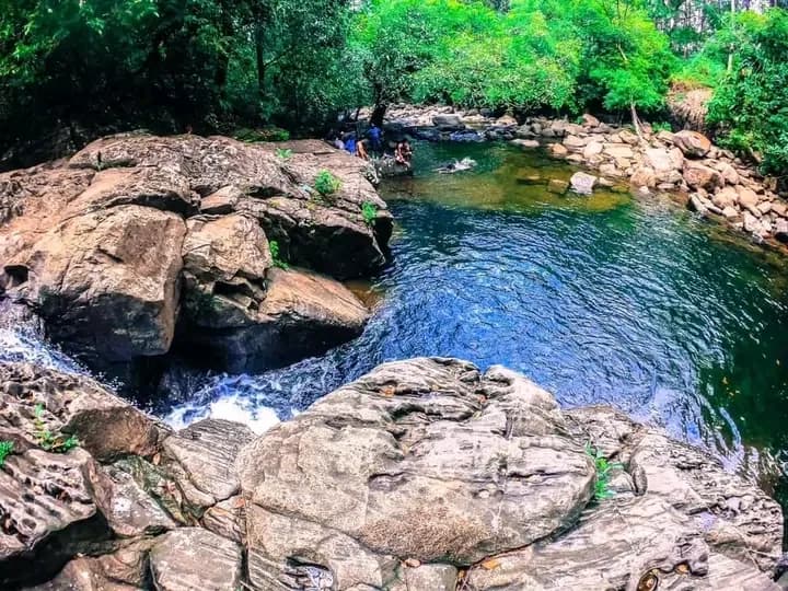 Scenic 29-Perch Land, Polgampola - Photo 8