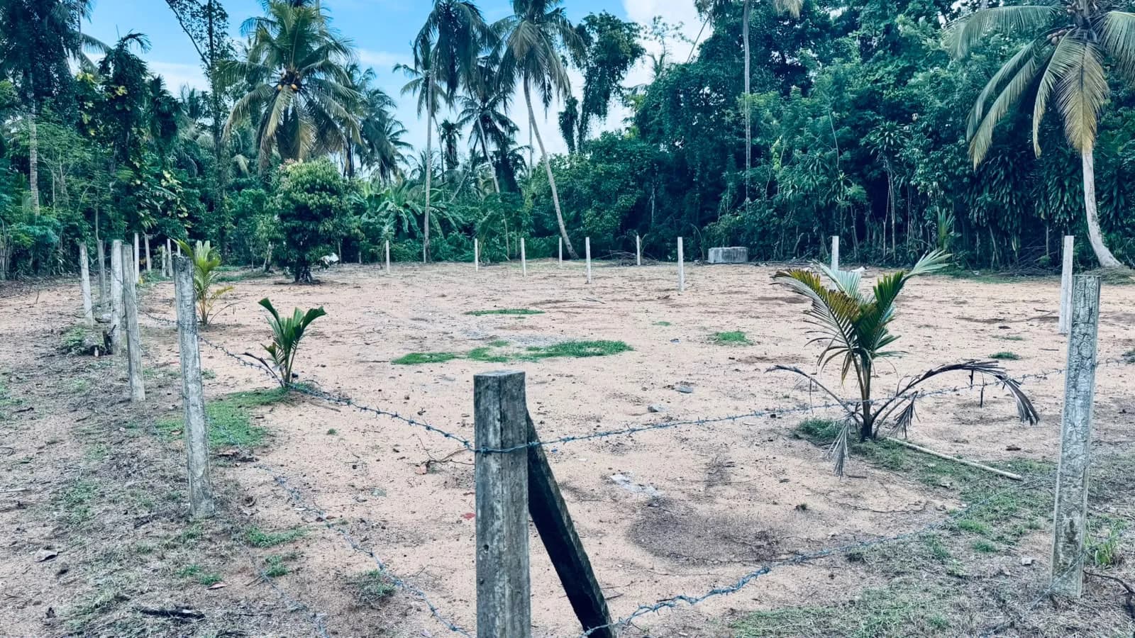 Prime 15-Perch Land, Bentota - Photo 18