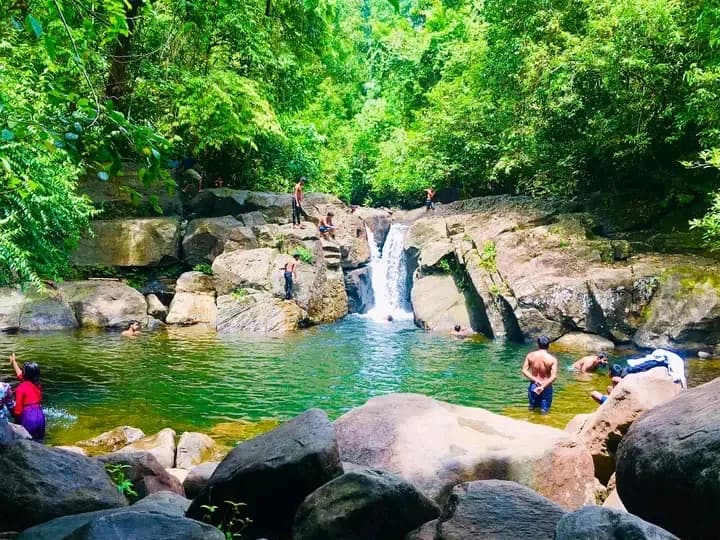 Scenic 29-Perch Land, Polgampola - Photo 1