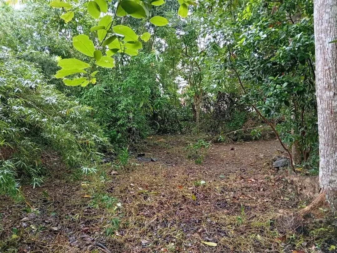 Balapitiya Commercial Land - Photo 1
