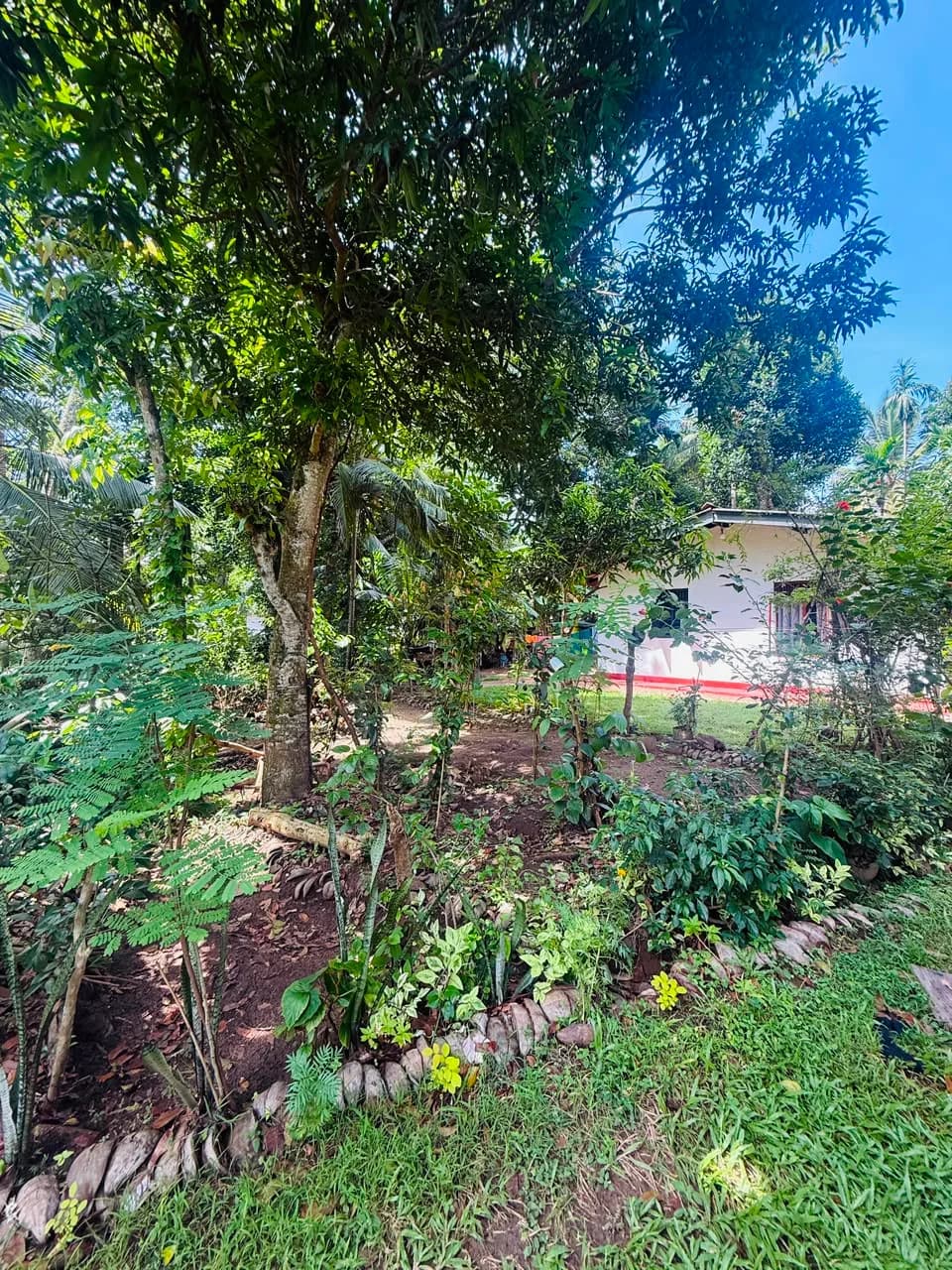 Kosgoda Land with House - Photo 4