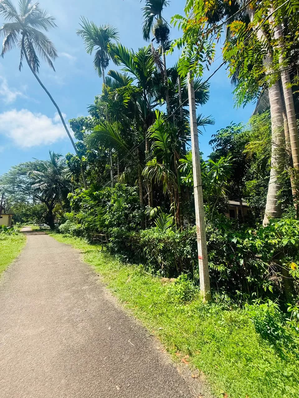 Kosgoda Land with House - Photo 7