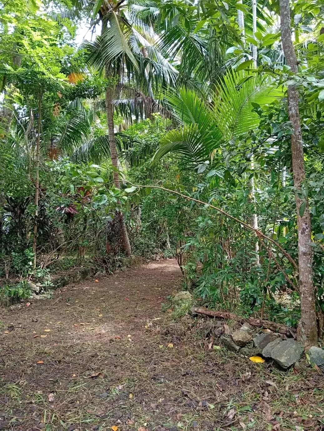 Balapitiya Commercial Land - Photo 6