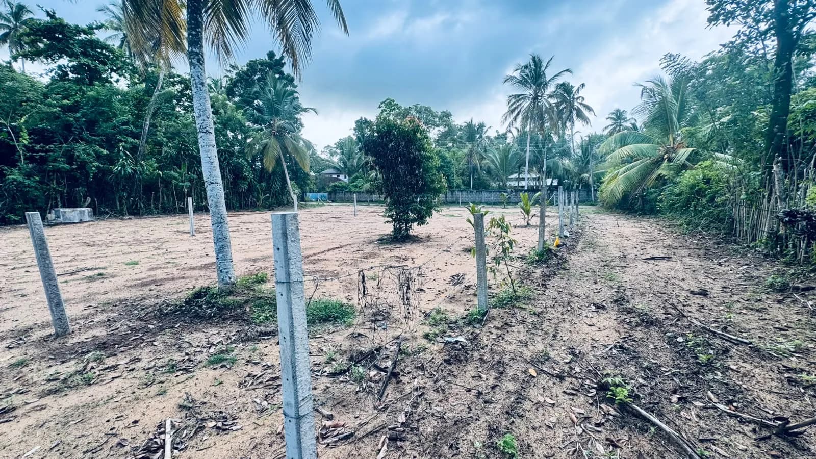 Prime 15-Perch Land, Bentota - Photo 11