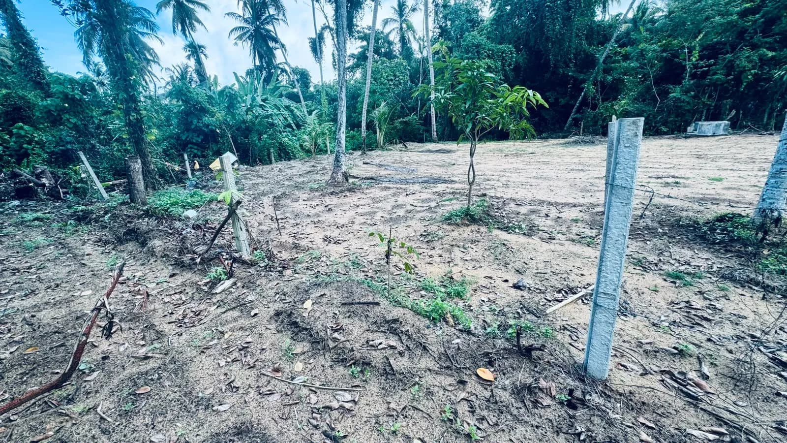 Prime 15-Perch Land, Bentota - Photo 7